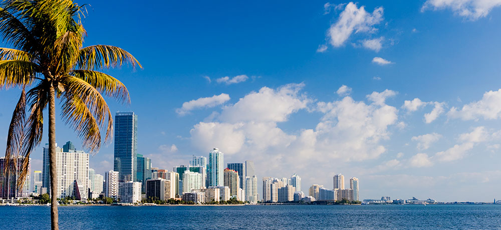 Brickell / Wynwood